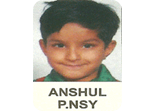 Anshul