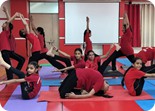 Yoga Day 2025